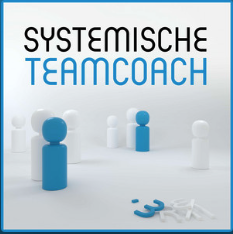 Systemische Teamcoach